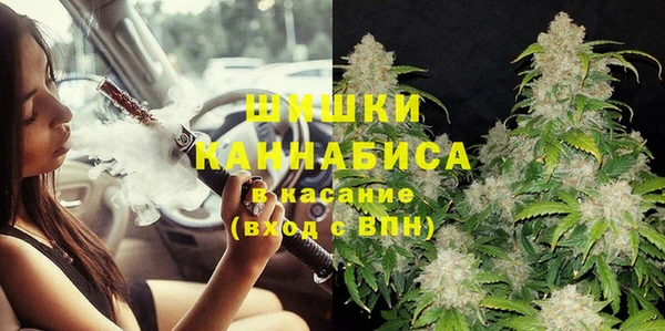 PSILOCYBIN Осинники