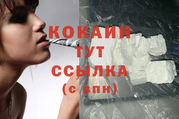 PSILOCYBIN Осинники