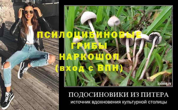 apvp Няндома