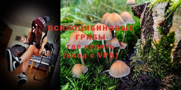 прущая мука Остров