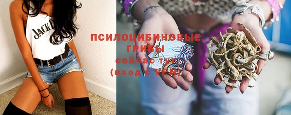 PSILOCYBIN Осинники