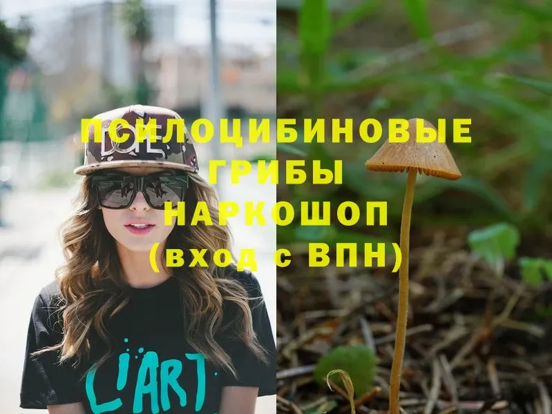 Псилоцибиновые грибы Magic Shrooms  blacksprut   Новодвинск 