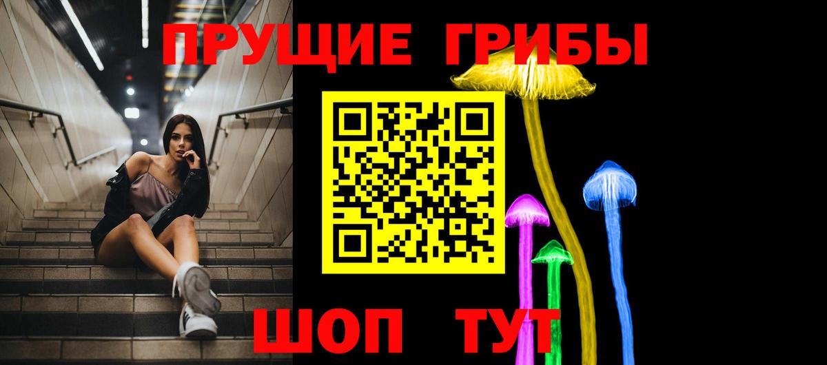 Новодвинск  Галлюциногенные грибы Cubensis  Вход с VPN 