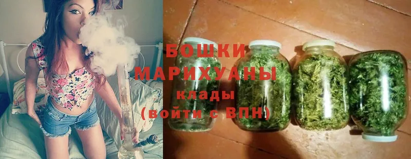 Шишки марихуана Ganja  Новодвинск 