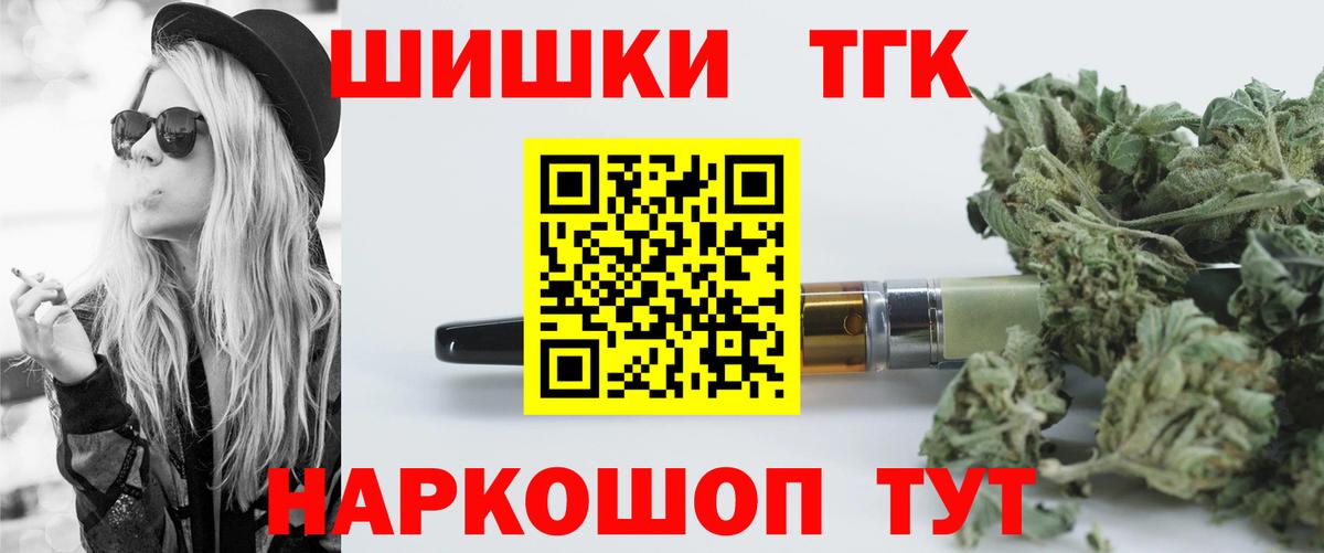 Бошки Шишки план Новодвинск
